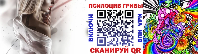 наркотики  Александров  Псилоцибиновые грибы Psilocybine cubensis 