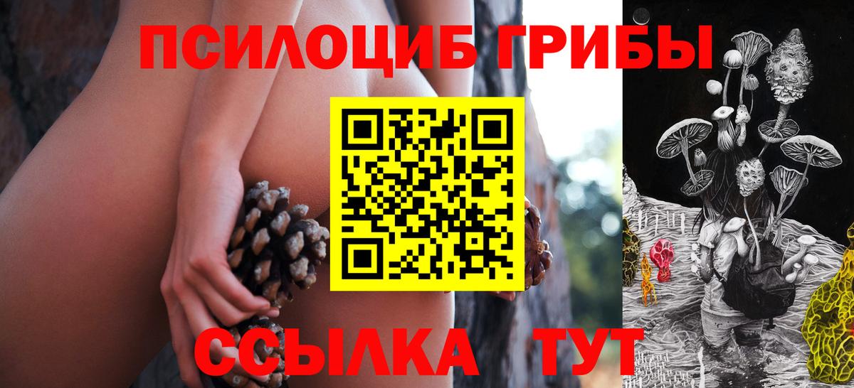 Александров  Галлюциногенные грибы ЛСД  Вход с VPN 