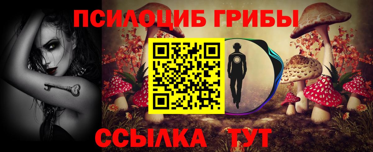 Галлюциногенные грибы мухоморы Александров